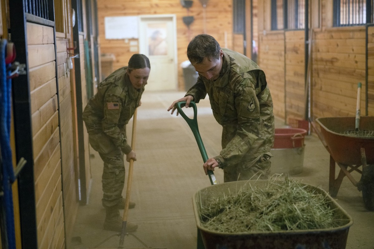 Soldiers volunteer at Wyoming ranch for Operation Remount Article