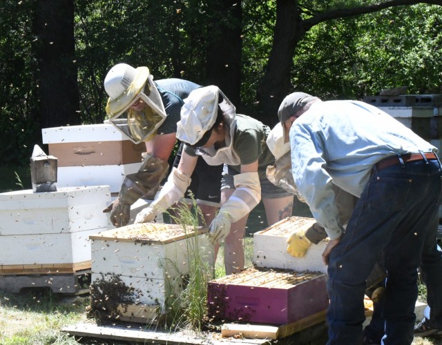 Veterans and active-duty service members toured the bee farm and workshop at Churchill Farms in Watertown on May 24, and received hands-on instruction in bee farming. The tour was made possible through Cornell Cooperative Extension of Jefferson...