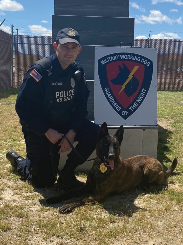 The National Training Center and Fort Irwin’s Directorate of Emergency Services, Law Enforcement Division welcomed its newest Military Working Dog (MWD), Uumberto.  Uumberto, also known as “Bert,” arrived in Fort Irwin on March 29, 2020.