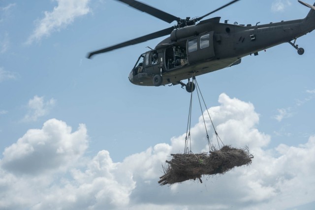 LANG conducts tree drop to fight erosion, help wildlife