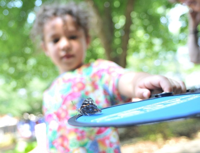 Natalie Booker, 5, balances a butterfly on a fan during the Butterfly Release event May 26 at the Army Community Service Memorial Garden. The Bookers were present to honor and remember father and husband, Petty Officer 1st Class Corwyn Booker Jr.,...