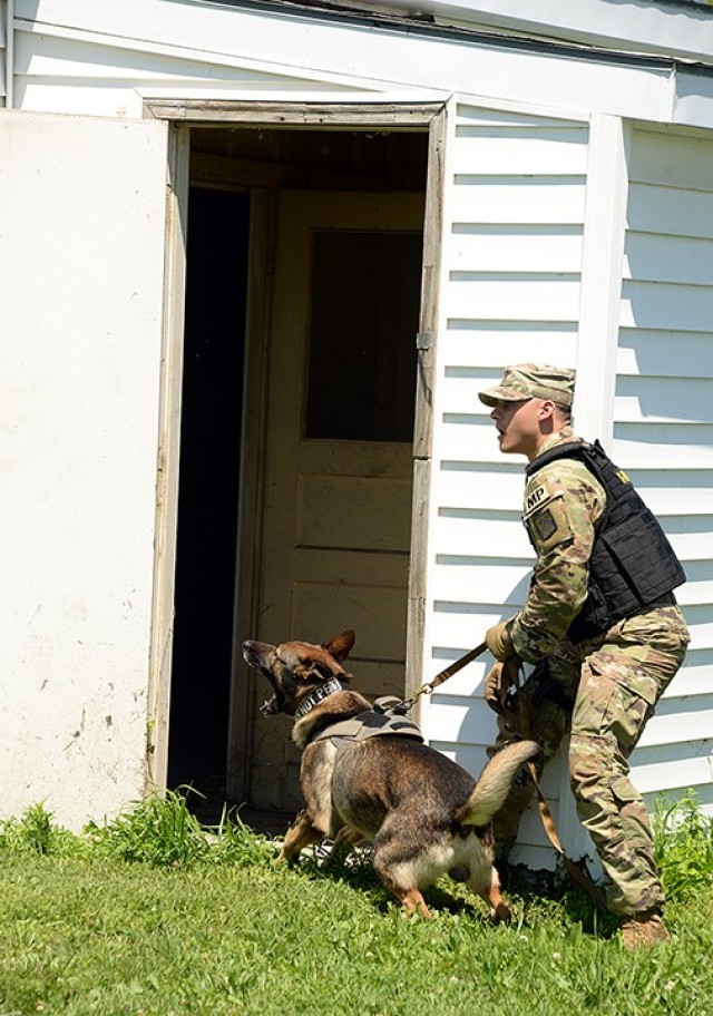 As Military Working Dog Hamed barks, Spc. Richard Tossas, 67th Military Police Detachment (MWD), Special Troops Battalion, yells for a role-player portraying an escaped inmate to come out or he'll release the dog during an escaped inmate exercise...