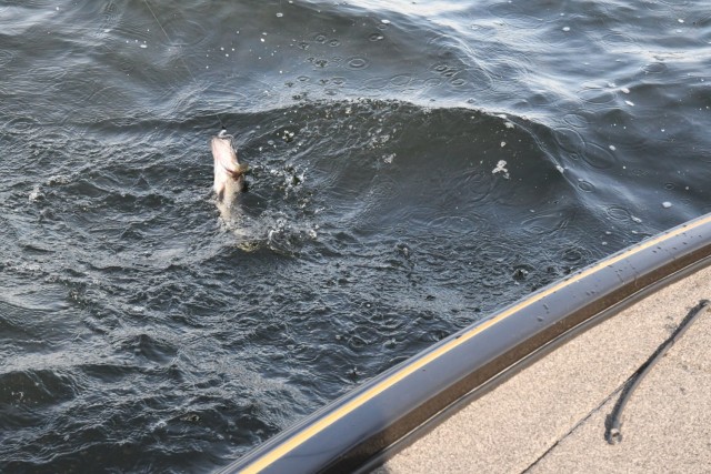 Fishing is a popular pastime in the northern New York, and both professional and amateur anglers have plenty of options when considering where to cast. (Photo by Mike Strasser, Fort Drum Garrison Public Affairs)