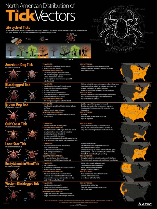 What to do to avoid ticks and their diseases