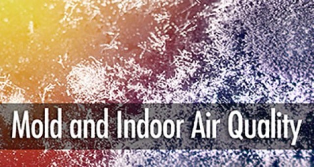 Mold Colorful Background