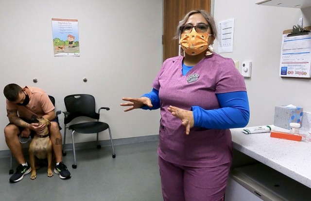 Juliana Alvarez, an animal health technician at the Fort Shafter Veterinary Activity, explains the process of caring for clients while a a five-year-old terrier mix waits for his wellness check-up, May 19. Alvarez is part of the VETAC team that...