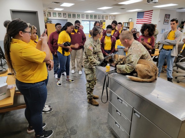 Spc. Ashleigh Cardwell, veterinary technician, demonstrates how to draw blood from military working dog Chantal while her handler, Spc. Zach Fossum, keeps her calm. 
