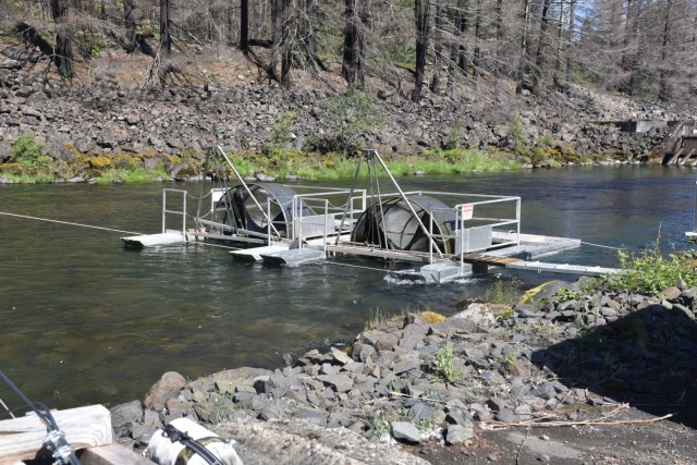 A screw trap sits below Cougar Dam, east of Eugene, Ore., May 28, 2021. Portland District, U.S. Army Corps of Engineers contractors check the screw traps daily to examine, categorize, measure and release any fish caught in the traps. The Corps...