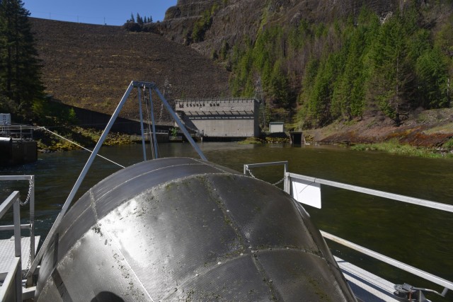 A screw trap churns as water flow from the McKenzie River downstream of Cougar Dam turns an internal helical screw, May 28, 2021. Portland District, U.S. Army Corps of Engineers biologists use screw traps like these to create enough hydraulics to...