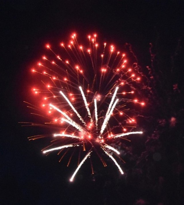 The firework display lit up the sky during the US Army Garrison Wiesbaden July 4 celebration.