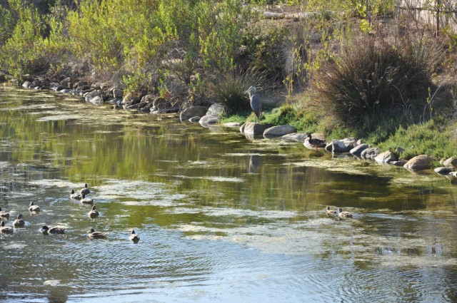 A scenic view of Lower Mission Creek taken from a bridge, June 28, 2021, in Santa Barbara, California. Santa Barbara Flood Control District Director Tom Fayram discussed Lower Mission Creek with Col. Julie Balten, commander, U.S. Army Corps of...