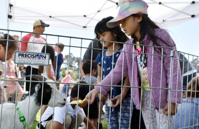 Liana, 6, right, and her sister Ulin, 5, feed a goat at the petting zoo during the “Party in the Park” at La Mesa Village, Monterey, Calif., July 9.