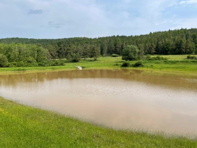 Days after a heavy rain event on June 8, 2021, a U.S. Army built dam, located upstream from the village of Ransbach, successfully held back surface runoff and sludge. (U.S. Army photo by Dr. Albert Boehm / USAG Bavaria Hohenfels Environmental Division)