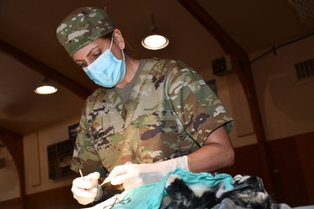 U.S. Army Reserve Maj. Emilee Alms, a veterinarian with the 7351st VET Detachment, 7214 Medical Support Unit and an Arden Hills, Minn. resident, conducts a spay surgery on a kitten at the Fort Belknap Indian Reservation.
...