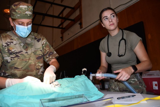 U.S. Army Reserve Maj. Emilee Alms, a veterinarian with the 7351st VET Detachment, 7214 Medical Support Unit and an Arden Hills, Minn. resident, conducts a spay surgery on a kitten assisted by U.S. Army Reserve Sgt. Jamie Stroup, an animal care specialist with the 7351 VET Detachment and a Modesto, Calif. native.
The 7214th MSU was conducting Innovative Readiness Training in support of Operation Walking Shield, a program that teams federal agencies with American Indian groups to help improve living conditions on American Indian reservations. Innovative Readiness Training is an opportunity that provides training for our military personnel to ensure deployment readiness while addressing needs within America’s local communities.
For this IRT project, 35 U.S. Army Reserve Soldiers assigned to Army Reserve Medical Command’s 7214th MSU based in Garden Grove, California in partnership with the Fort Belknap Agency and Hays Clinic, offered health care services at the Fort Belknap Agency and Hays Clinic on the Fort Belknap Reservation, Montana from July 18-31. The project supported a tribal population of more than 5,800 people. 
The medical professionals supporting this mission included physicians, physician assistants, nurses, a psychologist, a behavioral health technician, a pharmacist and pharmacy technician, dentists, dental assistants, medics and several support staff.  
Medical services provided included general medicine, health exams, behavioral health, dental exams and services, veterinary services, public education and other health care services.