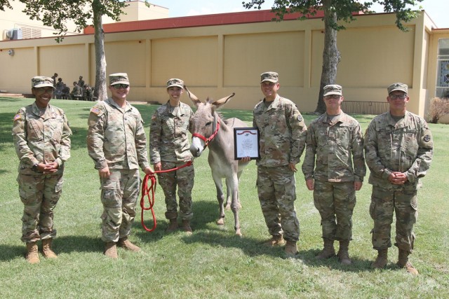 A/2-2nd leaders along with handlers of the battery’s mascots stand with Sgt. Big Deuce VIII following his graduation from the FA Basic Leader Course July 29, 2021, at Fort Sill, Oklahoma. Having just enlisted in the Army on April 26, Big Deuce...