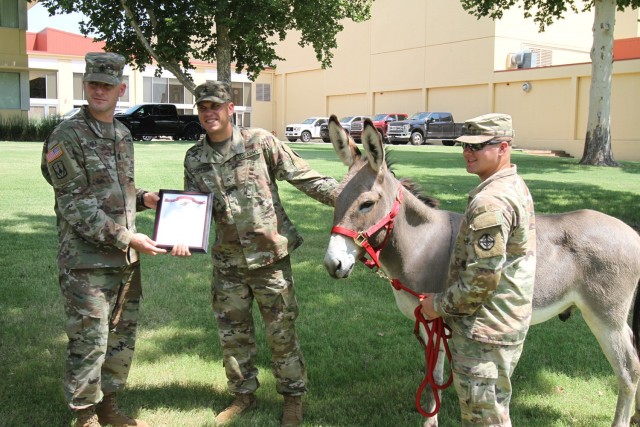 1st Sgt. Travis Honea, Basic Leader Course chief, and Sgt. Isaac Sorensen hold the Graduation Certificate for Sgt. Big Deuce VIII, who stands patiently with his handler, Spc. Tanner Tite. Big Deuce completed the FA Basic Leader Course at Fort...