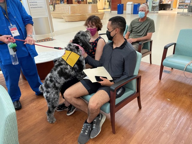 Martin Army Community Hospital's newest therapy dog Heidi visits with beneficiaries waiting in the pharmacy.