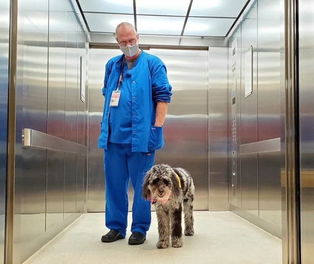 Martin Army Community Hospital's newest therapy dog Heidi and her handler ICU CNOIC Eric Canady ride the elevator to visit patients.