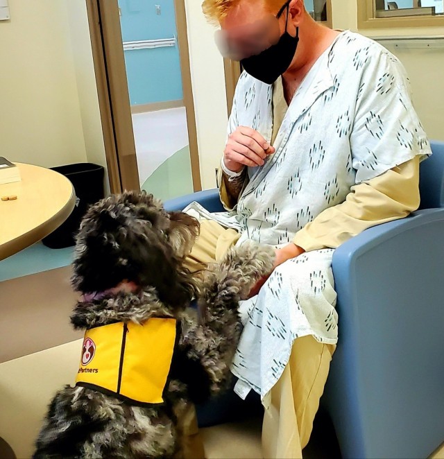 Martin Army Community Hospital's newest therapy dog Heidi plays with a Soldier in the Behavioral Health inpatient ward.