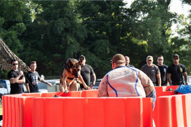 Part of the Advanced Bite Building seminar at Fort Knox included training dogs to scale obstacles to get to suspects.