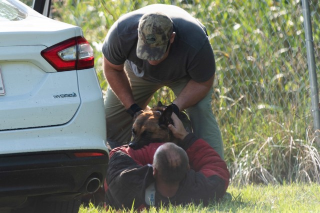 Dogs practice chasing down and attacking suspects at the 905th Military Police Detachment training facility during a multi-agency training seminar Aug. 2-5, 2021.