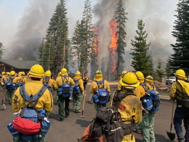 Trees burn within eyesight of a California National Guard hand crew with Joint Task Force 578 during the Dixie Fire, Aug. 16, 2021, in Northern California. The task force is part of the mutual aid system in support of CAL FIRE.