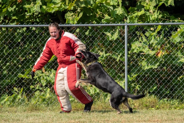 Dogs practice chasing down and attacking suspects at the 905th Military Police Detachment training facility during a multi-agency training seminar Aug. 2-5, 2021.