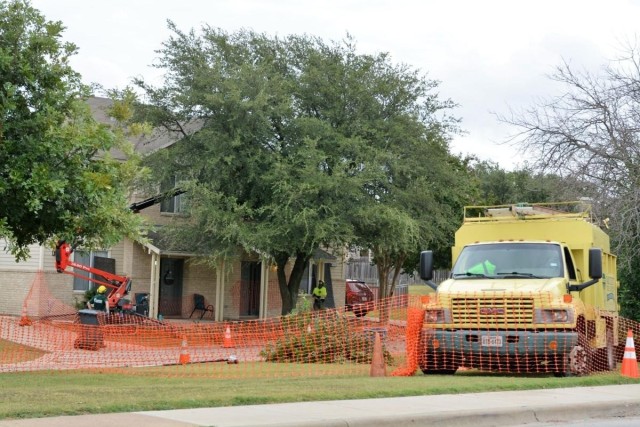 Tree trimming