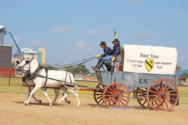 Mule team