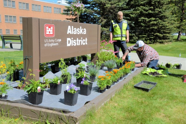 William “Eggy” Egeberg, facilities manager for the USACE Logistics Activity team in Alaska, and Mark Godfrey, contractor, plant summer flowers in the Alaska District headquarters front lawn’s flower box. Many of Egeberg’s daily tasks involve the caretaking of a facility built in 1946. He and his team of contractors perform general maintenance, groundskeeping and office remodeling to ensure that this critical infrastructure will accommodate many future generations of employees.