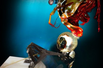 Small, mighty robots mimic the powerful punch of mantis shrimp