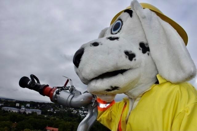 Sparky the Fire Dog looks over the event from the ladder truck to check for fire.