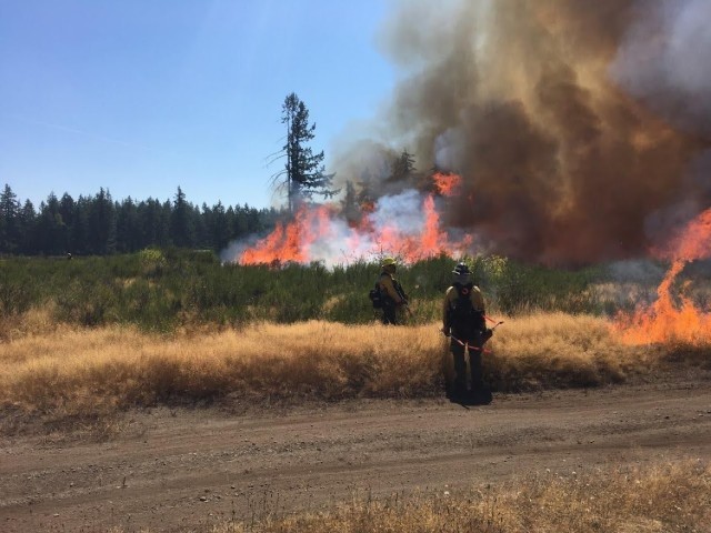 Good fires prevent bad ones