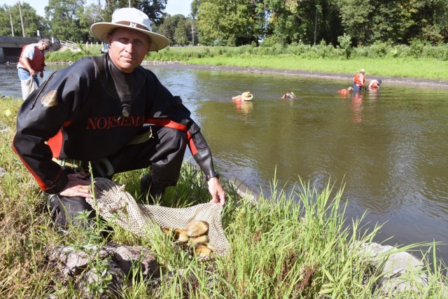 Dan Kelner, fisheries biologist, relocates mussels in the footprint of a future cofferdam in the Chippewa River diversion channel, near Watson, Minnesota, August 4, 2020.