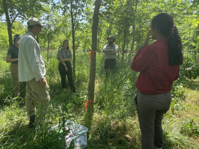 Sara Rother, intern, and Andy Meier, forester, meet with the U.S. Forest Service near River Falls, Wisconsin, June 8.