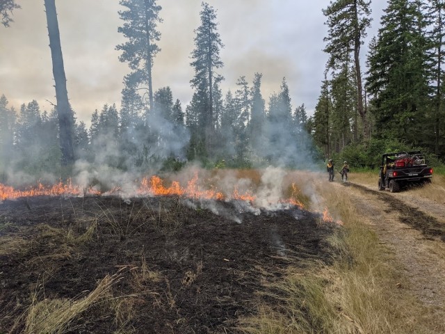 Good fires prevent bad ones