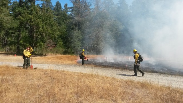 Good fires prevent bad ones