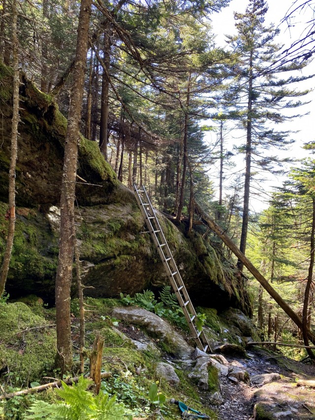 Ladders line the steep inclines along The Long Trail, to help hikers scale the mountain side. Alaina Killion completed the 273-mile hike alone this past June. (U.S. Army Reserves photo by Alaina Killion)