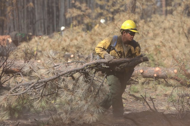 U.S. Army Staff Sgt. Joseph Estrada, 23rd Brigade Engineer Battalion, 1-2 Stryker Brigade Combat Team, assigned to Joint Base Lewis-McChord, Washington, moves tree branches to a consolidated pile of excess branches in an effort to eliminate possible fire fuels while deployed in support of the Department of Defense wildland firefighting response on the Dixie Fire in Lassen National Forest, California, Sept. 17, 2021. U.S. Army North, U.S. Northern Command’s Joint Force Land Component Command remains committed to providing flexible DoD support to the National Interagency Fire Center to respond quickly and effectively to assist our local, state, and federal partners in protecting people, property, and public lands.