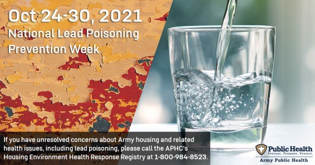 National Lead Poisoning Prevention Week takes place Oct. 24 – 30 this year, and it’s an opportunity for all of us to raise our awareness about lead poisoning risks around the home.