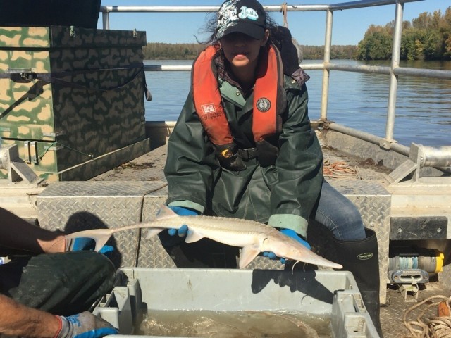 U.S. Army Corps of Engineers, Kansas City District, River Engineer Gladys Figueroa Toro poses with a pallid sturgeon during a Missouri River boat trip early in her employment with USACE.