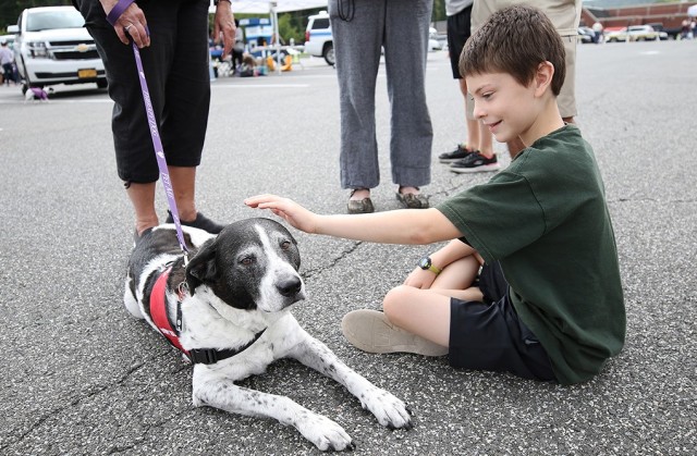 Hudson Valley's Paws for a Cause therapy dog, Pepper Jack, meets a new friend during the Emergency Preparedness Fair and National Night Out event.