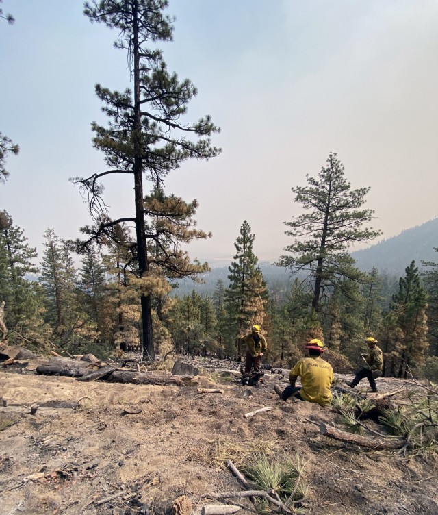 Sierra Army Depot firefighters dig fire break lines while providing support to local efforts to combat the Dixie Fire, July 2021, in northern California. The Sierra Army Depot fire department was named as the U.S. Army Materiel Command Fire Department of the Year for 2020, partially due to its support to local authorities in combating wildfires during the 2020 wildfire season.