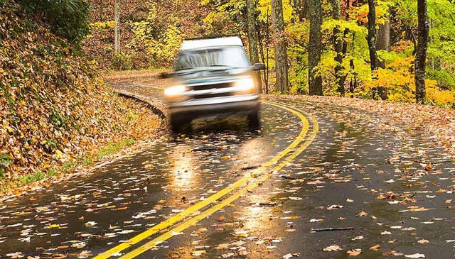 Leaves, less daylight, animals among autumn driving hazards