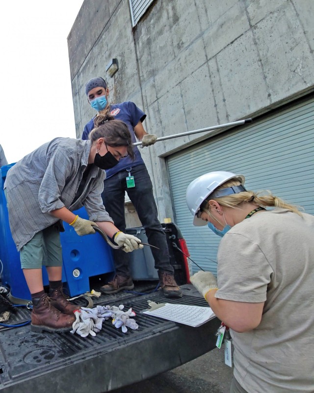 Columbia River Inter-Tribal Fish Commission (CRITFC) staff members process Pacific lamprey before they haul them past Bonneville Dam, June 30, 2021. In fact, CRITFC transported the largest-ever number of lamprey upriver for the Umatilla, Yakama and Nez Perce tribes to release into tributaries in the upper Columbia and Snake River basins in 2021. CRITFC collected and transported 5,714 fish with less than one percent mortality.  (U.S. Army photo by Chris Gaylord)