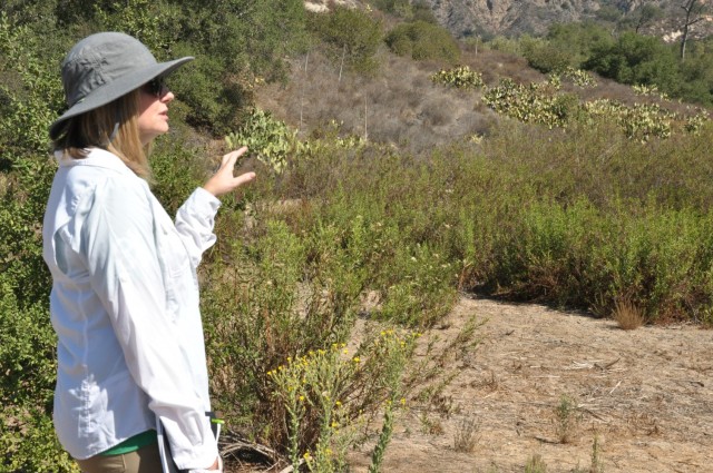 Lesley Hill, Project Manager, Environmental Mitigation Program, OCTA, points out flora and fauna Sept. 16 at Trabuco Rose Preserve, a 396-acre parcel located in Trabuco Canyon. northwest of Rancho Santa Margarita, Californiaa  It’s bordered by the Cleveland National Forest to the north and Trabuco Creek to the south, while Hickey Creek drains the western side.