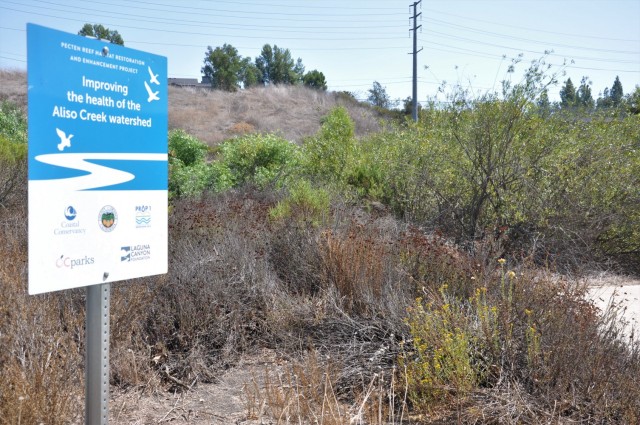 The Corps challenge of restoring the Aliso Creek riparian zone was tempered by its proximity to a century of urbban development. After removing tons of invasive grasses and plants, the zone is now a flourishin wildlife habitat.