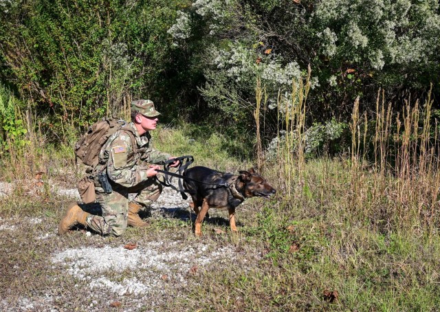 Cpl. Anthony Connell, a military working dog handler assigned to the 208th Military Working Dog Detachment, shouts to potentially lost adults before releasing his working dog Pastor to search shrubs in Fort Jackson, South Carolina, on-post housing...