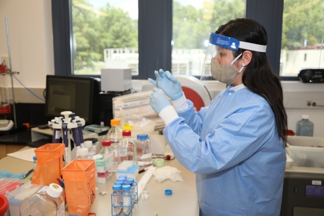 A scientist with the Emerging Infectious Disease Branch at WRAIR studies samples in a lab on June 1, 2020. 